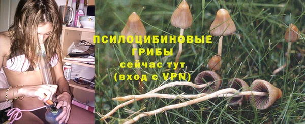 соль ск Верхний Тагил