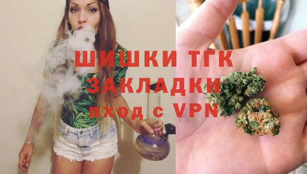 соль ск Верхний Тагил