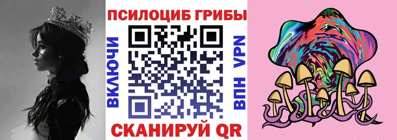 купить наркоту  Островной  Галлюциногенные грибы Psilocybe 